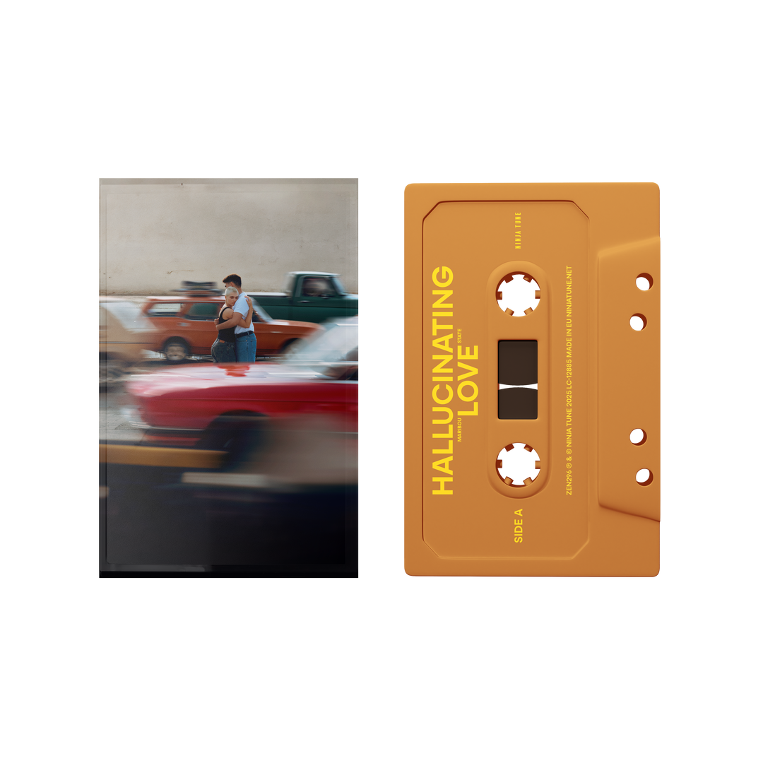 Hallucinating Love | Cassette